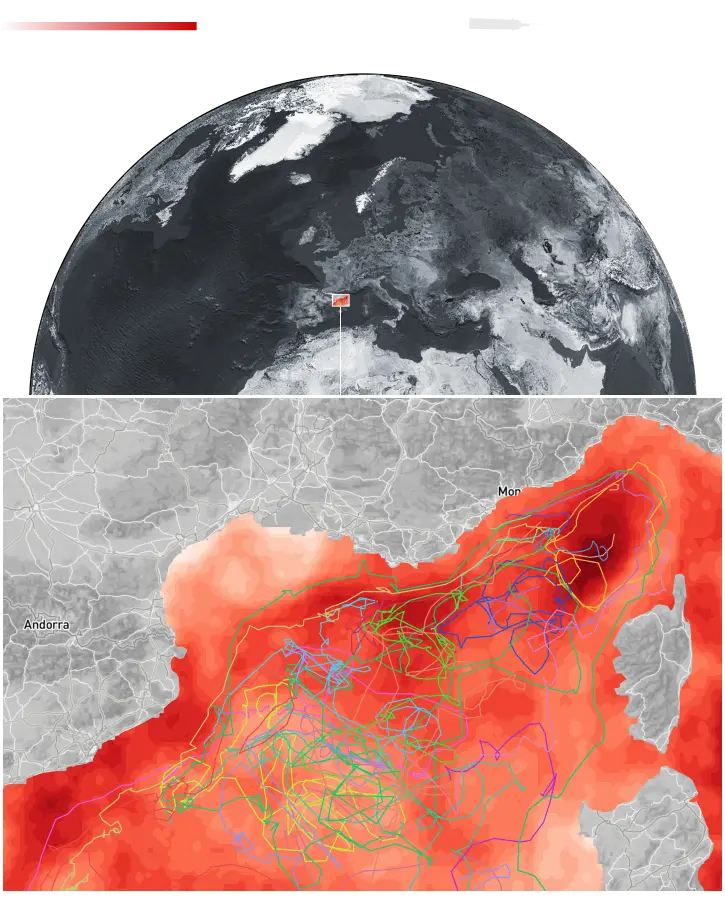 The trajectories of 23 Argo floats used to collect data at different depths