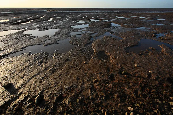 Mudflat image