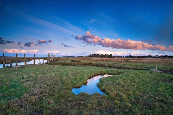 Salt Marshes image