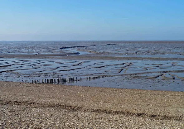 Tidal image