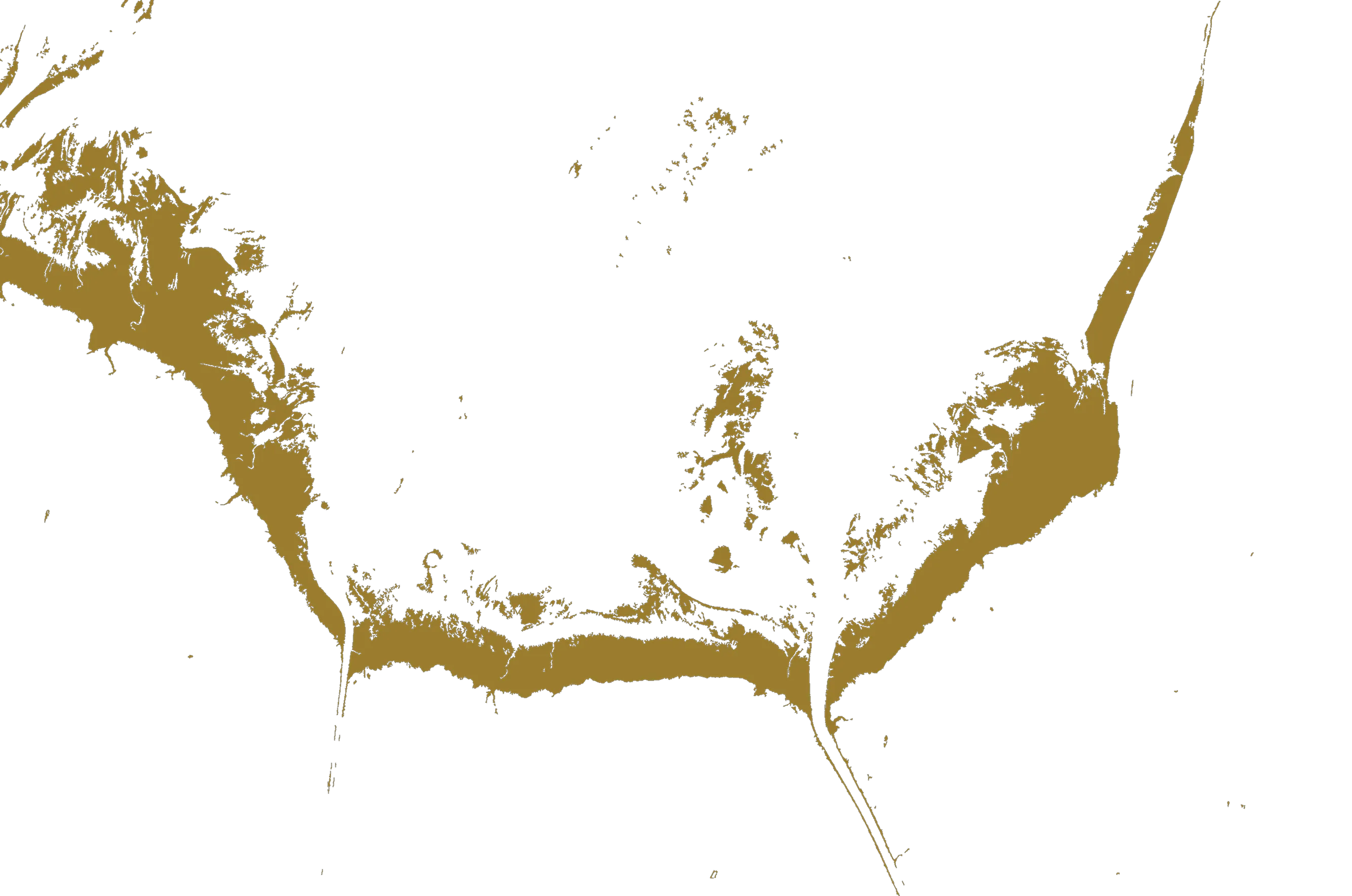 Satellite mud flat data