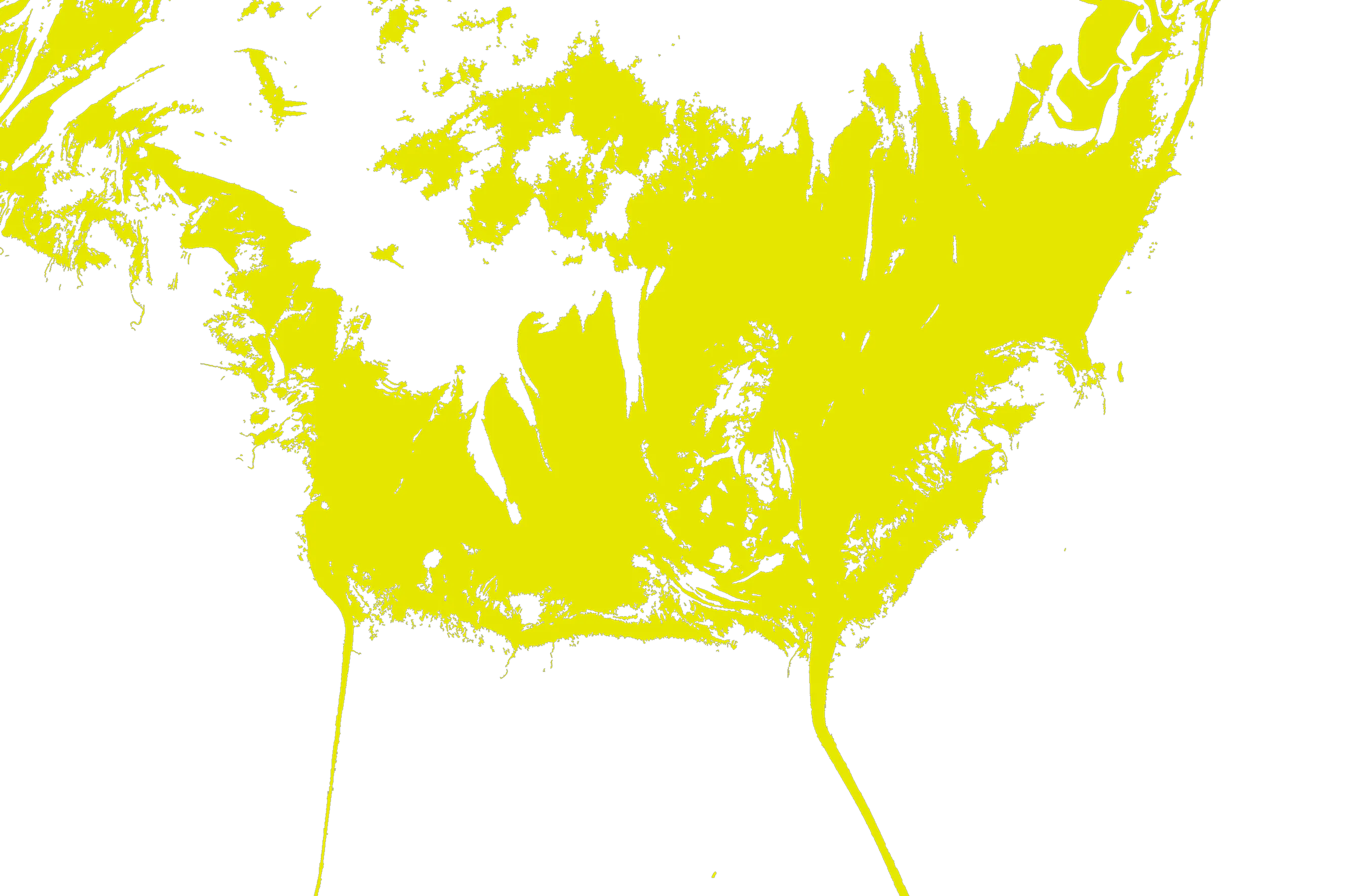 Satellite tidal area data